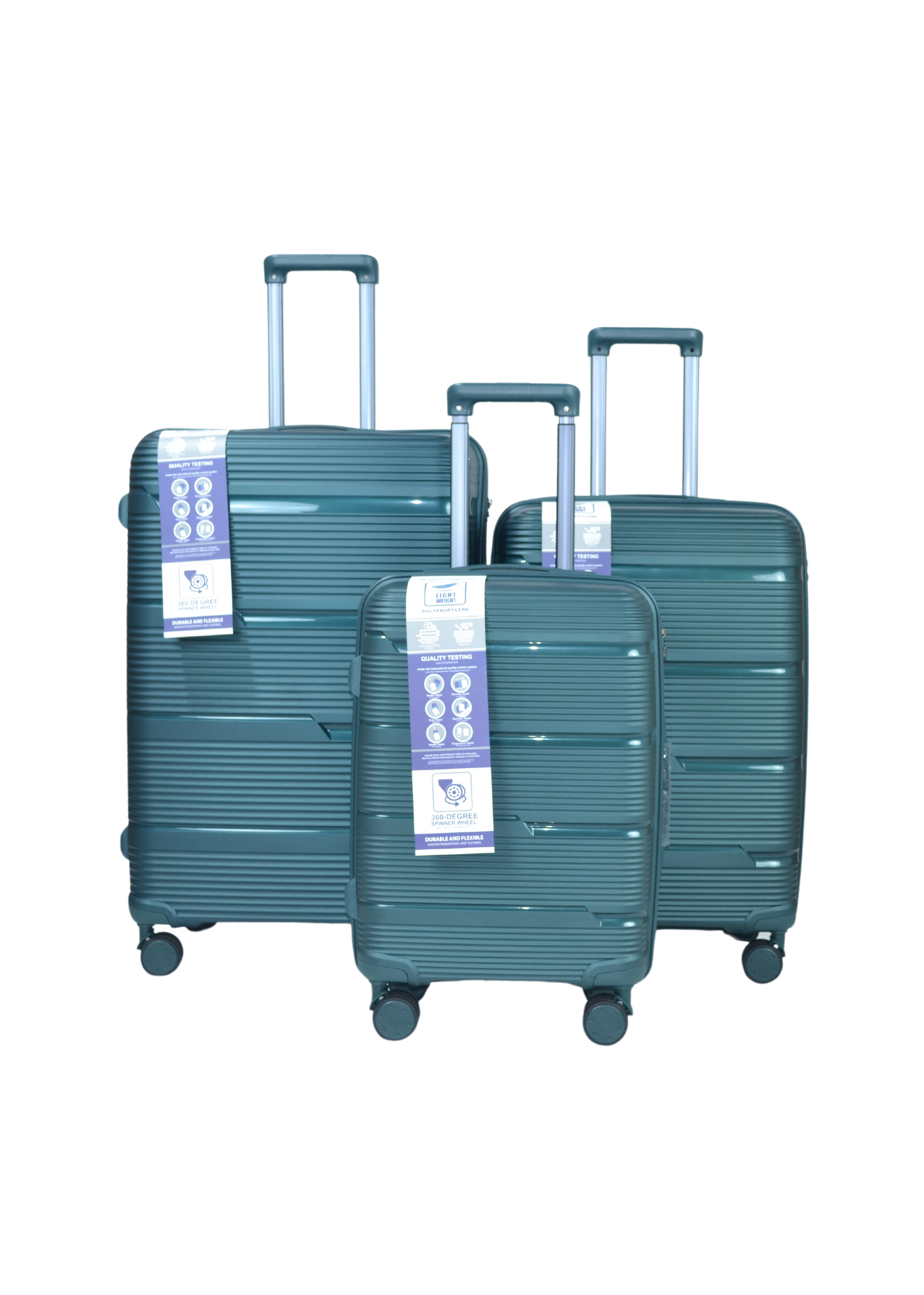 PP 803 Discover Your Ultimate Travel Companion